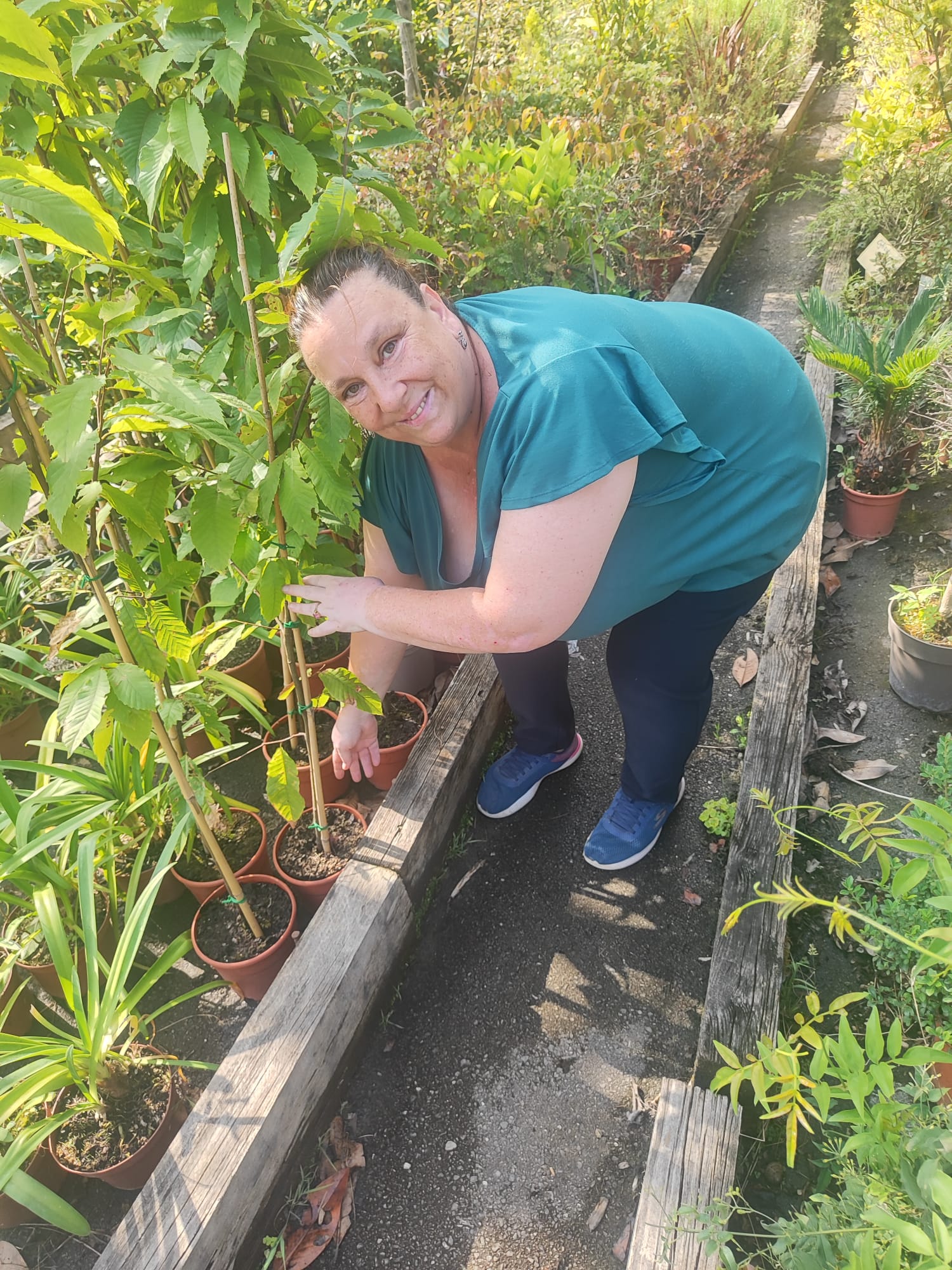 Plantando futuro: la comunidad SBS se une para reforestar