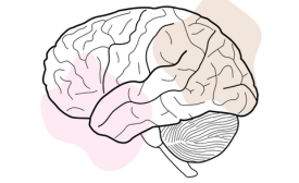 ¿Qué nos enseña “Anatomía de la Persuasión” sobre la comunicación efectiva?