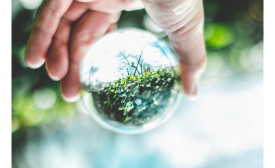 Economía circular, clave diferencial para las empresas y para alumnos de MBA 