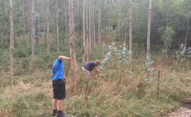 Fundación SBS, otro paso en nuestro compromiso social